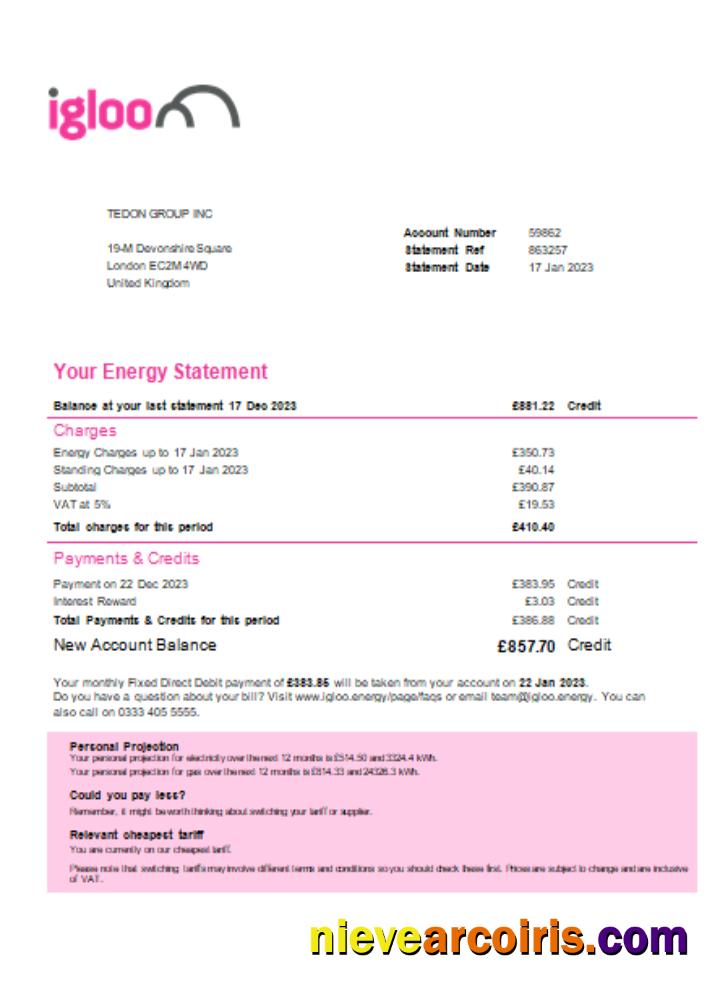 Igloo Energy utility business bill